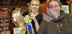 Ассоциация заводчиков породистых кошек Экстра-Кэт на улице Плахотного, 21