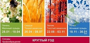 Торговая компания Эльманн