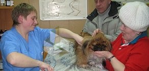 Ветеринарная клиника Кот Матроскин на улице Родионова