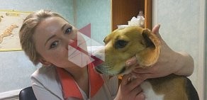 Ветеринарная клиника Кот Матроскин на улице Родионова