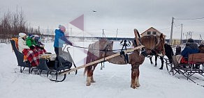 Конный клуб Royal Horse  