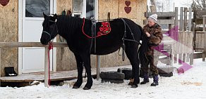 Конный клуб Royal Horse  