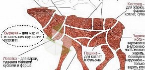 Компания по продаже мяса диких животных МясоДичь