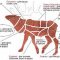 Компания по продаже мяса диких животных МясоДичь