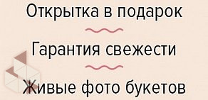 Служба доставки цветов Flogoods в Баймаке