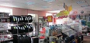 Магазин автозапчастей и автотоваров АСТА в Пушкинском районе