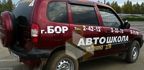 Автошкола Практика АНОО в Боре