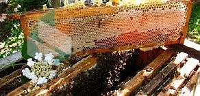 Магазин Мёд и другие продукты пчеловодства на проспекте Мира