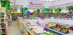 Магазин товаров для детей Лукоморье в ТЦ Торговый Двор