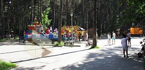 Парк Сосновый бор в Калининском районе