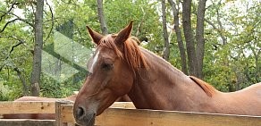 Русская баня Вайцеховский и сын на Острогожской улице