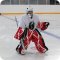 Центр подготовки вратарей подготовки вратарей iGoalie.PRO