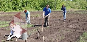 ПГСГА, Поволжская государственная социально-гуманитарная академия на улице Максима Горького, 65