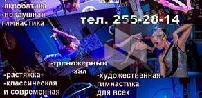 Студия танца и гимнастики Фа на Красном проспекте