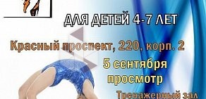 Студия танца и гимнастики Фа на Красном проспекте