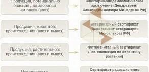 Транспортная компания Поинтерс