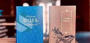 Книжный магазин китайской литературы Шанс