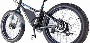 Торгово-ремонтная компания электровелосипедов ElectronBikes