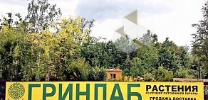 Интернет-магазин и питомник растений ГринЛаб в Петергофе