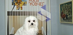 Ветеринарный центр Ноев Ковчегъ на улице Чекистов