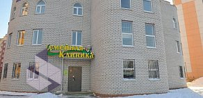 Многопрофильный медицинский центр Семейная клиника на улице Мыльникова