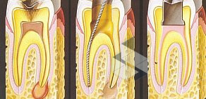 Стоматология СтоматологиЯ в Сеймском округе