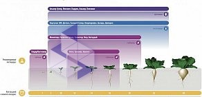 Научно-производственная фирма Агрохим-XXI