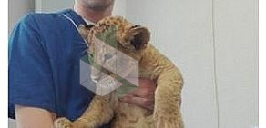 Ветеринарная клиника стерилизации животных на Рублёвском шоссе