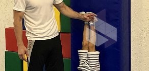 Детский гимнастический центр BabyFit в Днепровском переулке