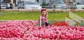 Администрация Центрального района в Центральном районе