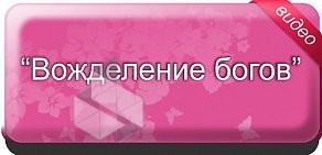 Представительство в Тренинговая студия г. Петрозаводске