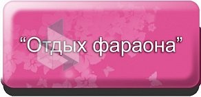 Представительство в Тренинговая студия г. Петрозаводске