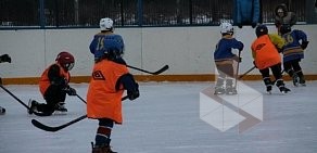 физической культуры спорта и здоровья, петродворцовый район в Ломоносовском районе