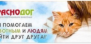 Приют для пострадавших животных Краснодог на улице Куйбышева