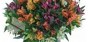 Цветочный салон Флора 76