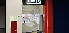 Интернет-магазин TWiG на Снежной улице