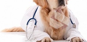 Парголовская ветеринарная лечебница