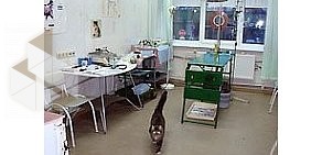 Ветеринарная клиника Аврора в Химках