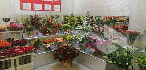 Магазин цветов Мосцветторг на метро Свиблово