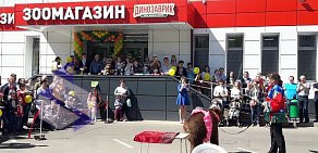 Зоомагазин Динозаврик на улице Зои и Александра Космодемьянских