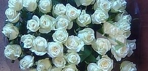 Оптово-розничный салон цветов Ах, роза!