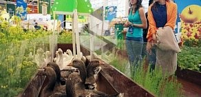 Агропромышленный интернет-портал Agroday.ru