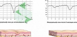 Аптека Аптека Целебная на Алтайской улице