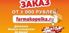 Аптека-дискаунтер Фармакопейка на улице Пушкина