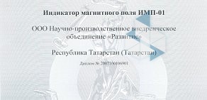 Научно-производственное внедренческое объединение Развитие в Вахитовском районе