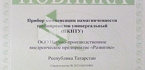 Научно-производственное внедренческое объединение Развитие в Вахитовском районе