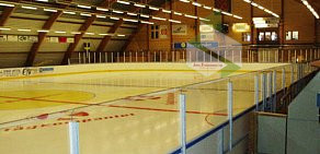 Салон хоккейного инвентаря Викинг