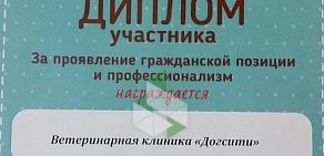 Ветеринарная клиника ДогСити на Искровском проспекте, 32 к 1