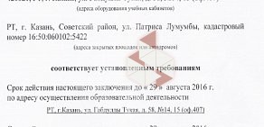 Федерация автошкол Республики Татарстан