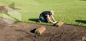 Зелёный Челябинск на Лесопарковой улице